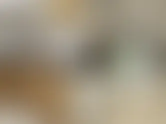 L-Shape vs. U-Shape vs. Parallel Modular Kitchens