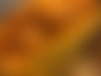 Chipotle cauliflower stuffed delicata squash boats