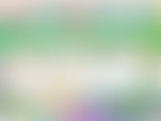 JORGIANAS 23/24 - classificação final