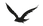 ave-removebg-preview%20(1)_edited.png