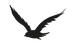 ave-removebg-preview%20(1)_edited.png