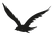 ave-removebg-preview%20(1)_edited.png