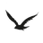 ave-removebg-preview%20(1)_edited.png