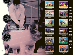 Winners Banner (48 × 36 in).png