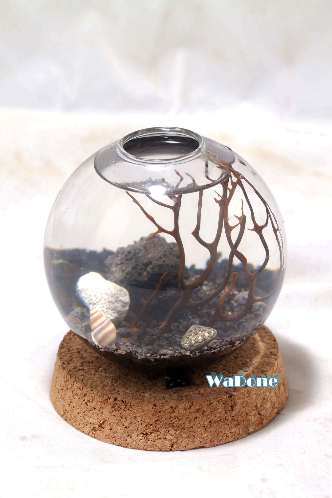 永恆之夜 - 直徑15cm，8隻火山蝦