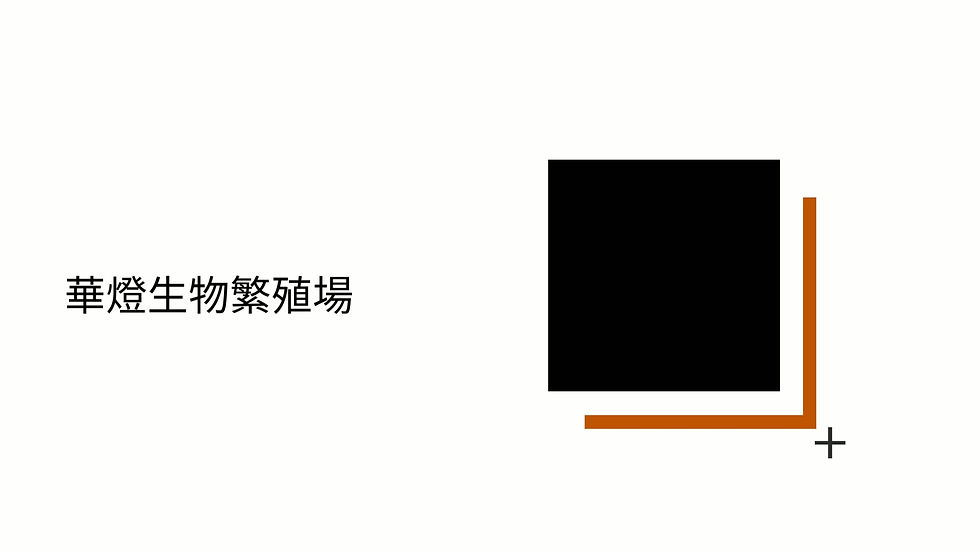 縮圖：燈魚之皇！銀河燈