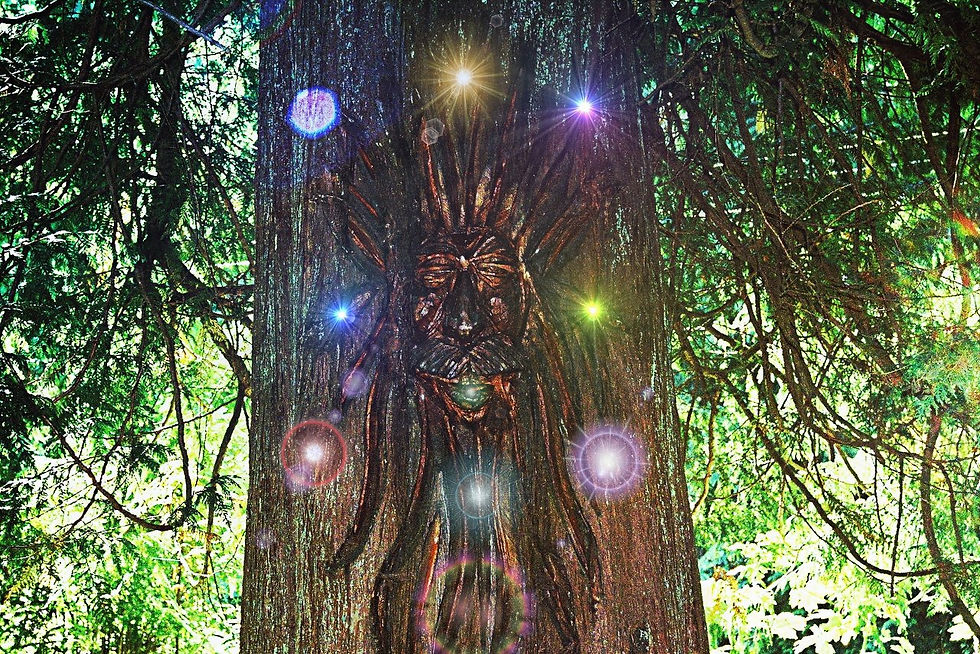 treeee.jpg