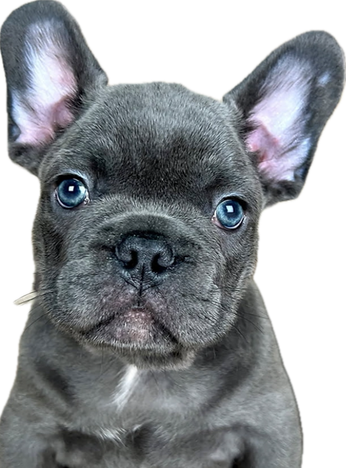 0500B02C-84EC-4B21-9601-9CCEA50883A2_edited.png