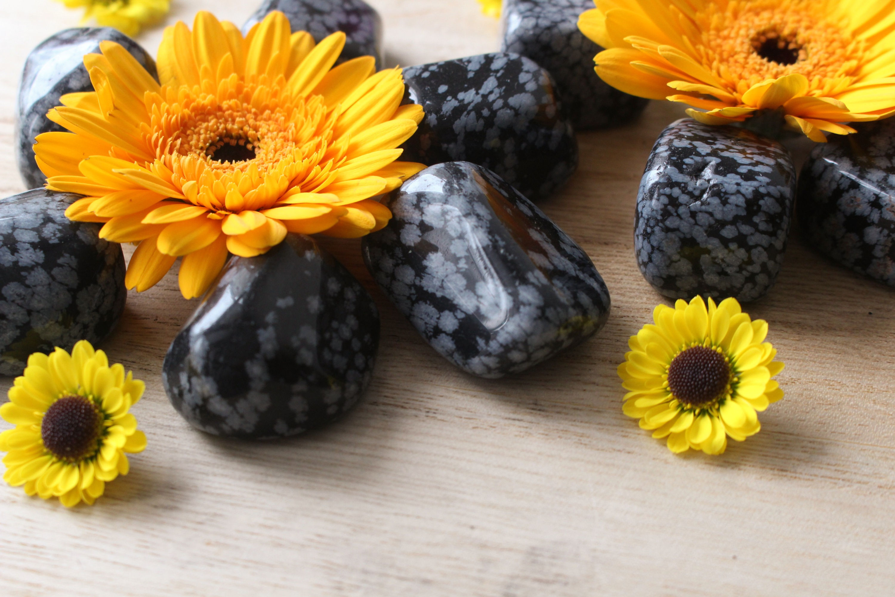 Obsidienne flocon de neige - Protection