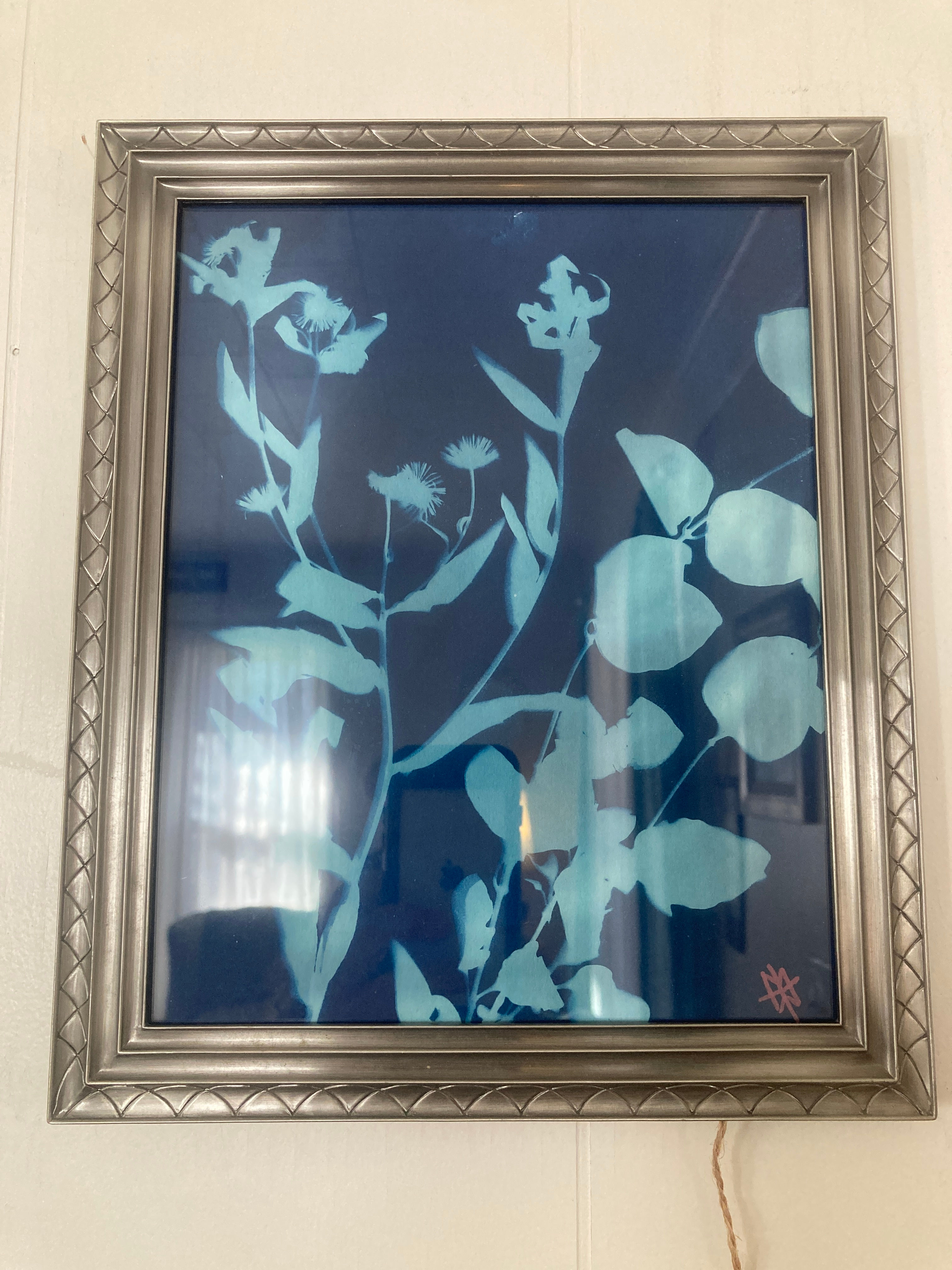 Flower + Vine - 9x11 Framed Cyanotype