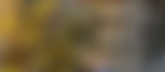 BreyerFest Recap Pt 4: CHIN Shopping and More Loot!