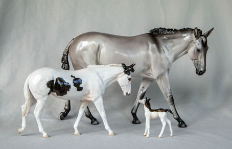 BreyerFest Recap Pt 3: Equilocity!