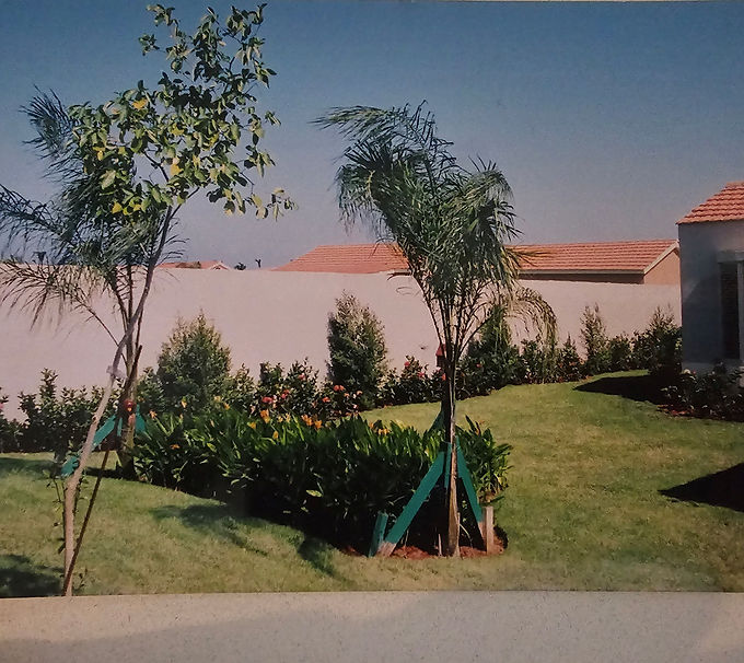 Residencial 2_edited.jpg