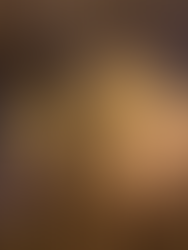 St. Stephen's Basilica at night.