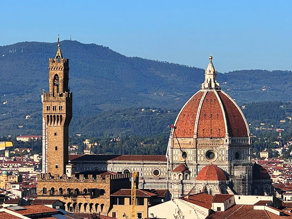 View of the Duomo from Boboli Gardens