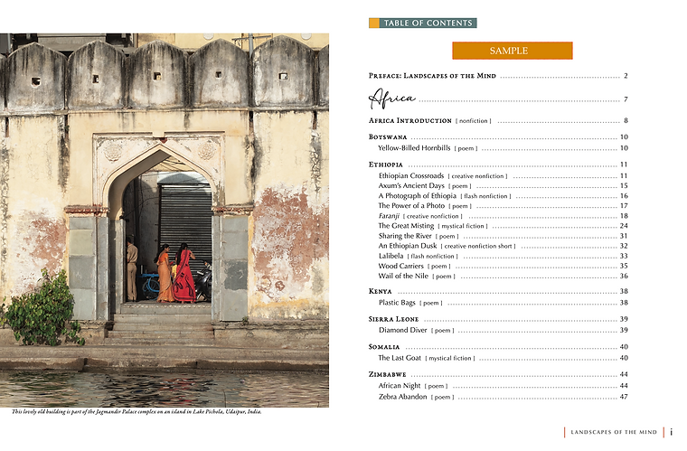 LOTM sample pg TOC1.png