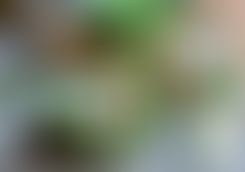 Albanian White Cheese