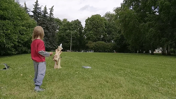 veepudelirakett.gif