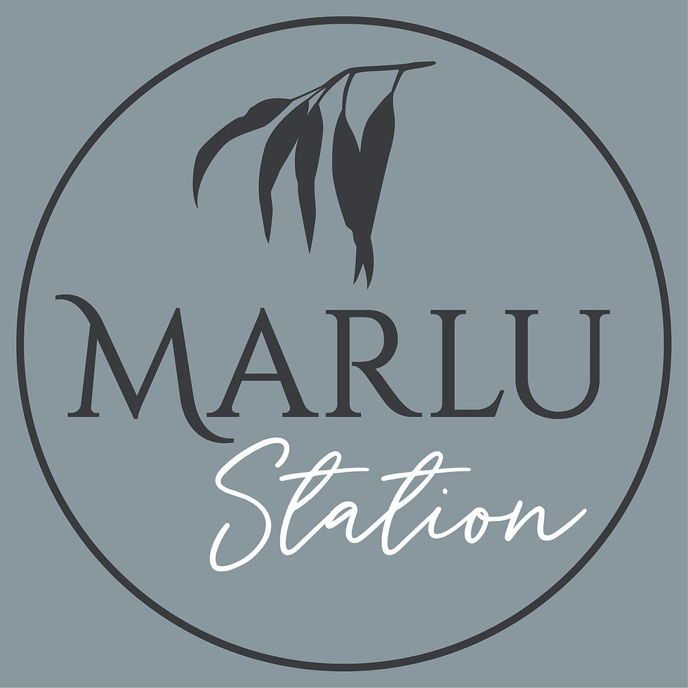 MarluStation_SecondaryLogoCMYK