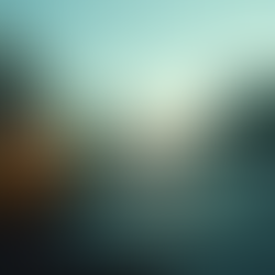 Rastreo en tiempo real con Transporte Diário