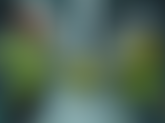 Why Accredited Safety Training Programs Matter