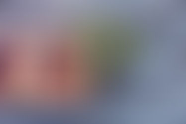 The Power of Green Tea: A Natural Ally for Your Health