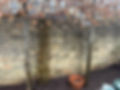IMG_9783.jpeg