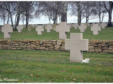 Sous le silence des pierres : le 8 mai 1945 ...