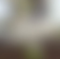 Célébrons le printemps avec Ostara ! 