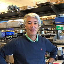 Reinhard Fischer.jpg