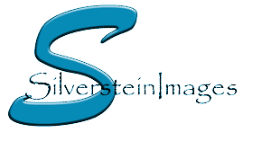 Silverstein Images