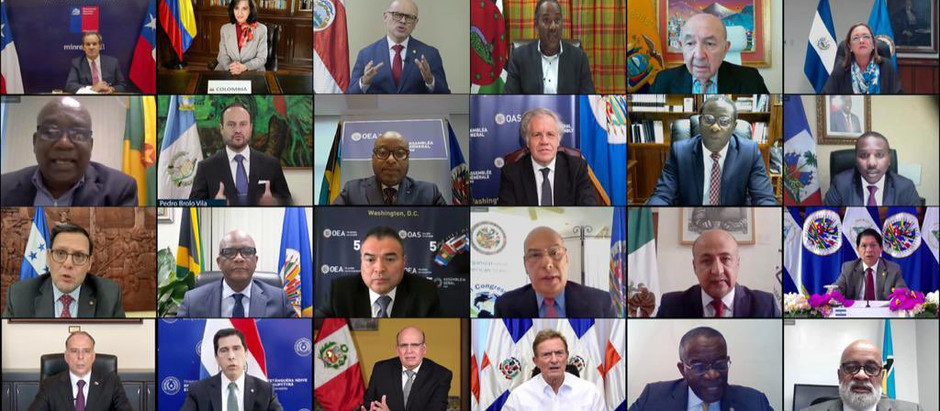 50 ASAMBLEA GENERAL DE LA ORGANIZACION DE LOS ESTADOS AMERICANOS (OEA)