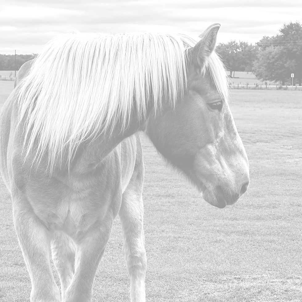 Sophie_001_upscaled_edited_edited.jpg