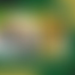 Why Site Analysis Is the Foundation of Great Architecture