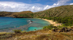 1267335_10151661136418037_1942682089_o