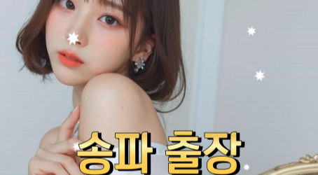 송파구출장안마: 최고의 편안함과 힐링을 선사하는 송파구 출장마사지 가이드