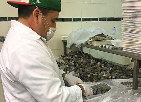 Comercialización.Mariscos.Sinaloa.Agua10