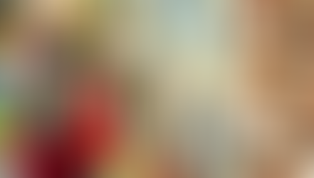 Belgrade, Serbia: A Case Report of Refugees in Towns