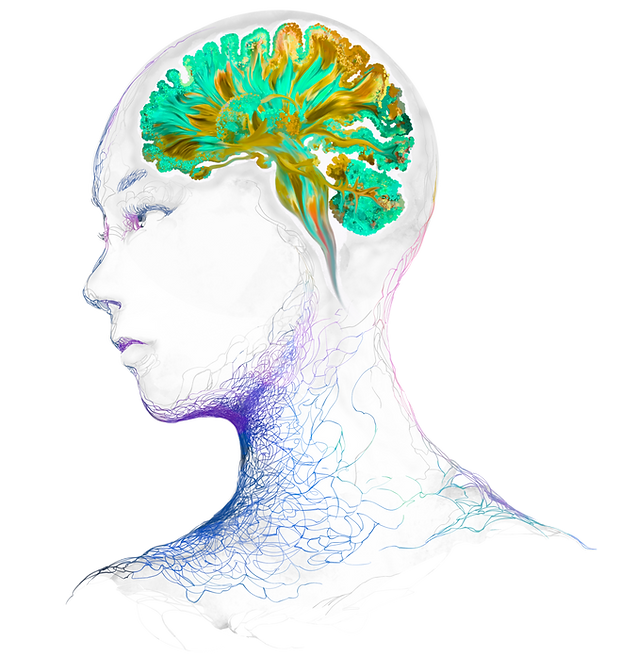 Version 2 TRANS 18apr23.png