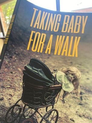 Review: Taking Baby for a Walk by Kathryn Gossow