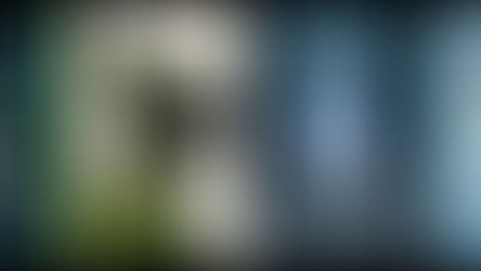 Four book covers. Left to right: The Lost bookshop cover depicts four shelves of a bookcase with a miniature yellow house tucked in between books on the shelf 2nd from top. around the books are vines with green and yellow leaves. The Lost boy cover is a cream background with silhouettes of a boy, a hook and a smaller figure sitting on top of the hook. Veil cover background is dark and moody woods with a ghostly bride in the foreground. The Lepers Garden cover is a light blue background with a red rose through the title and illustrated roses in four corners.