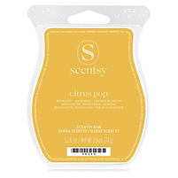 Citrus Pop Scentsy Bar