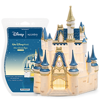 Walt Disney World Cinderella Castle & Where Dreams Begin Bundle