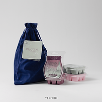 Practical Magic Scentsy Wax Collection