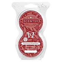 Cinnamon Pinecones Scentsy Pod Twin Pack
