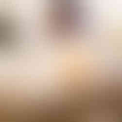 Etched Hummingbird Scentsy Warmer