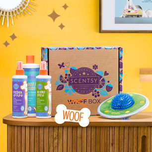ACT FAST - THESE SCENTSY PRODUCTS ARE GOING, GOING, GONE!