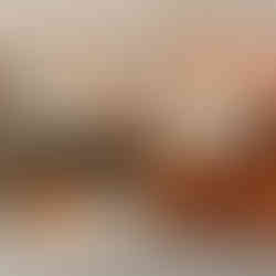 Harvest Bounty Scentsy Warmer & Fall Fairy Tale Scentsy Warmer