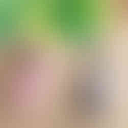 Genna the Giraffe & Ezra the Elephant Buddy Clips