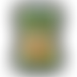 Lilo & Stitch Aloha-Ohana Scentsy Warmer